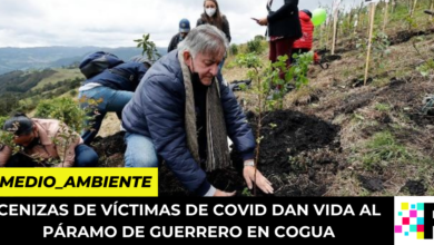 Cenizas de víctimas de Covid dan vida al Páramo de Guerrero en Cogua