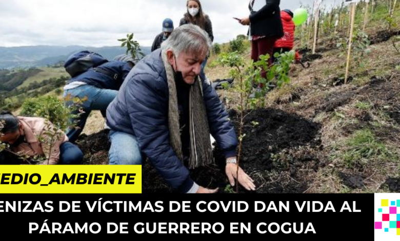 Cenizas de víctimas de Covid dan vida al Páramo de Guerrero en Cogua