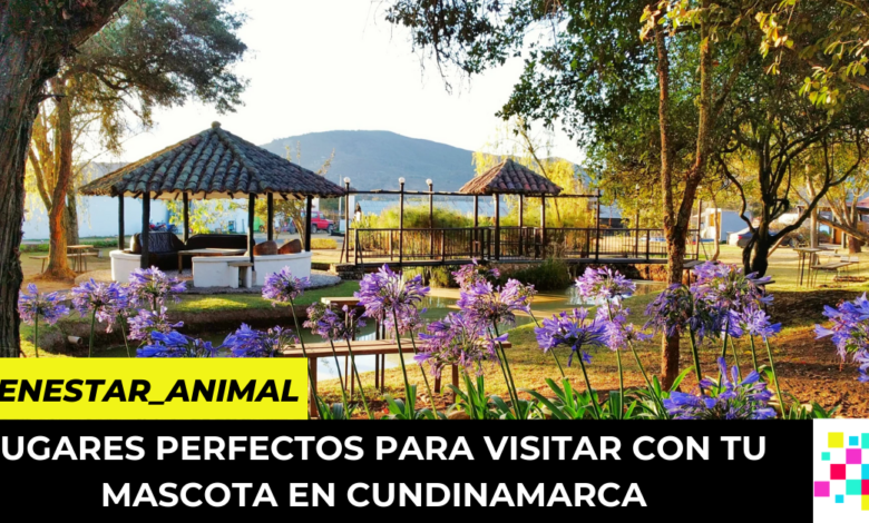 lugares perfectos para visitar con tu mascota en Cundinamarca