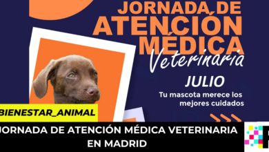 jornadas de atención médica veterinaria en Madrid