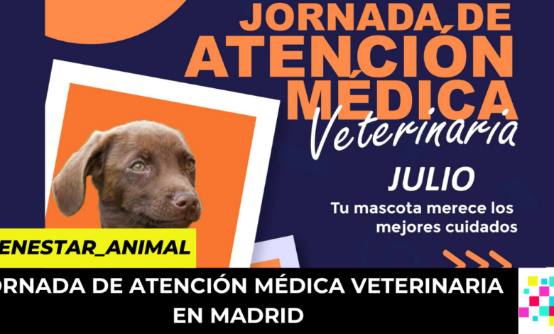 jornadas de atención médica veterinaria en Madrid
