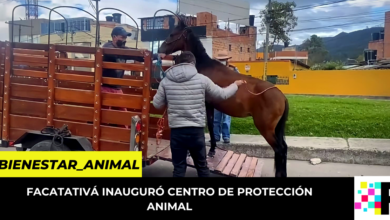 Centro de Protección Animal