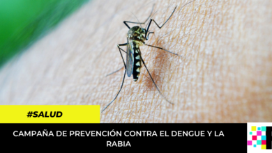 campaña de prevención contra el dengue y la rabia