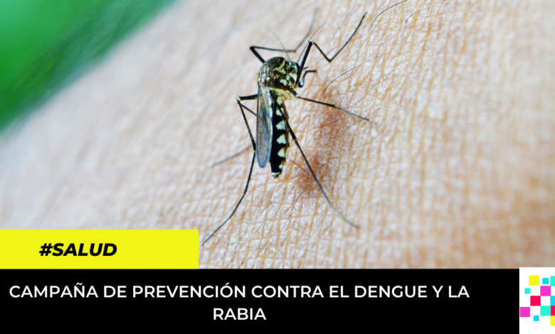 campaña de prevención contra el dengue y la rabia