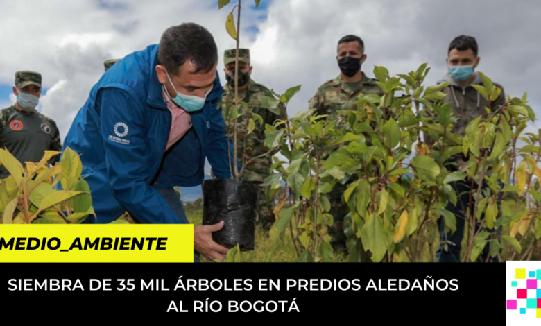 siembra de 35 mil árboles cerca al río Bogotá