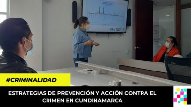 estrategias de prevención y acción contra el crimen