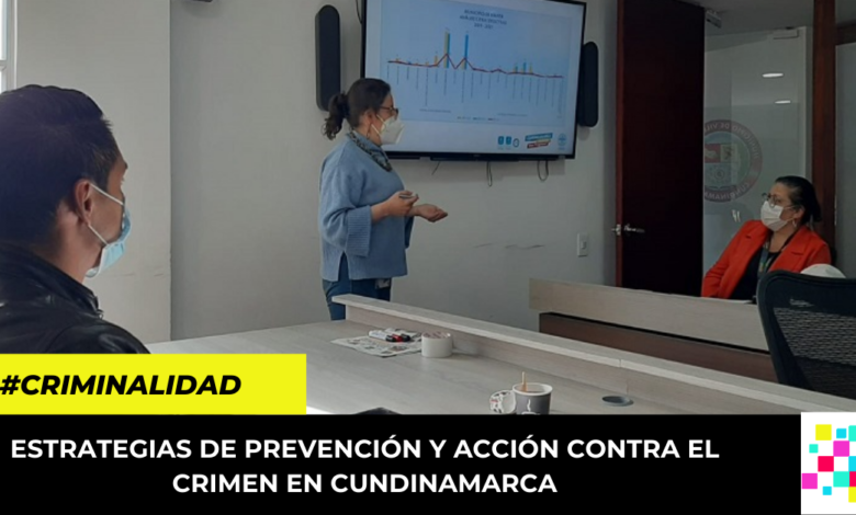 estrategias de prevención y acción contra el crimen