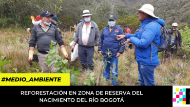 reforestación en zona de reserva del nacimiento del Río Bogotá