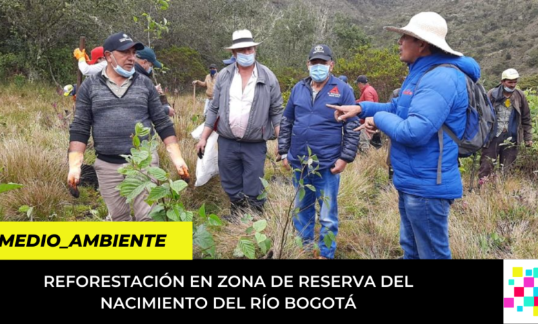 reforestación en zona de reserva del nacimiento del Río Bogotá