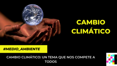 ¿Qué hacer para enfrentar el cambio climático?