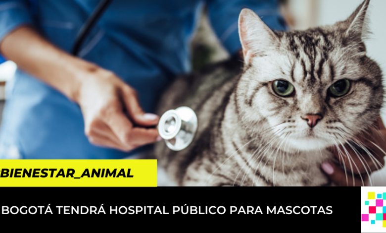 Así funcionará el futuro hospital público para mascotas en Bogotá