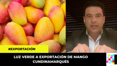 Gobernador Nicolás García anunció la aprobación de exportaciones de mango a EEUU