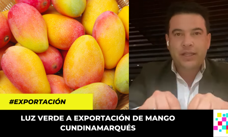 Gobernador Nicolás García anunció la aprobación de exportaciones de mango a EEUU