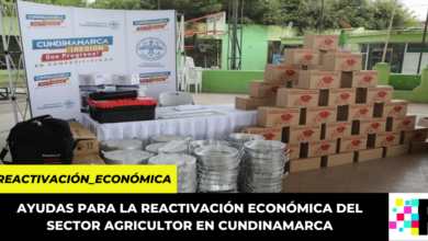 Gobernación de Cundinamarca invirtió más de 3.5 millones para beneficiar a productores del departamento