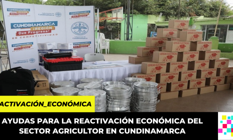 Gobernación de Cundinamarca invirtió más de 3.5 millones para beneficiar a productores del departamento