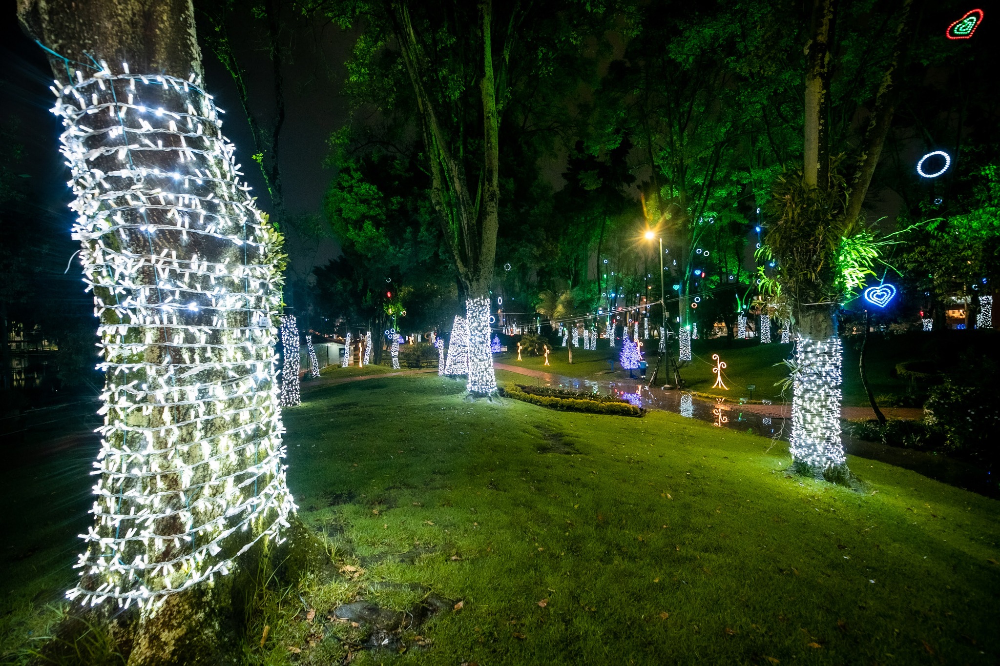 Galería Ruta De Alumbrados Navideños Para Este Año En Bogotá