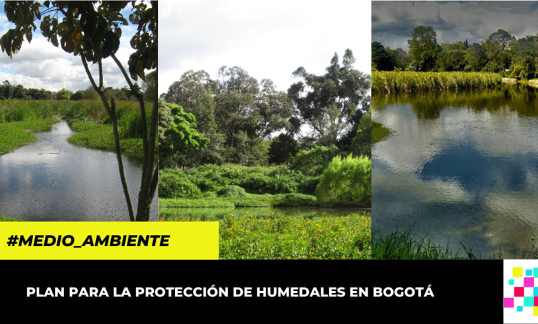 Alcaldía de Bogotá se compromete con la protección de los humedales