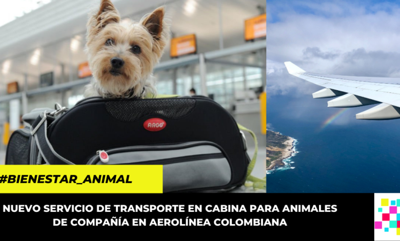 Esta es la primera aerolínea colombiana que prestará servicio de transporte para mascotas en cabina.