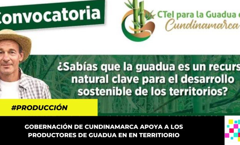 Gobernación abrió convocatoria para apoyar a los productores de guadua en Cundinamarca