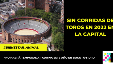 Este año NO habrán corridas de toros en la Plaza de la Santamaría de Bogotá