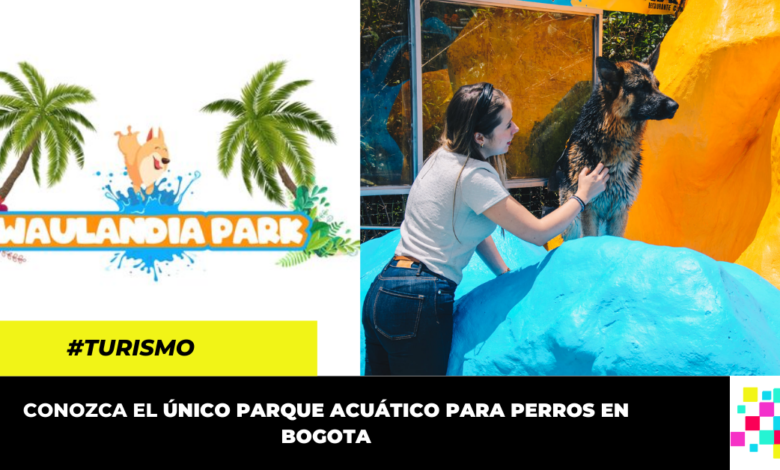 Waulandia Park: un parque acuático para perros en Bogotá
