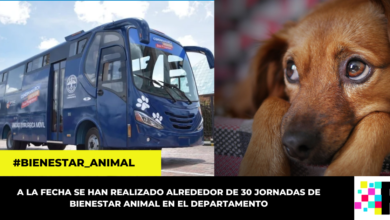 Cundinamarca trabaja por el bienestar animal con su primera Unidad Quirúrgica Móvil para Mascotas