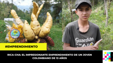 Joven Colombiano crea emprendimiento a base de arracacha