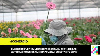 Gobernación de Cundinamarca destaca la labor de los floricultores en el día de San Valentín