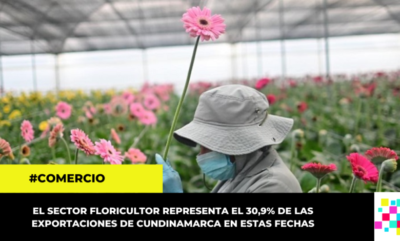 Gobernación de Cundinamarca destaca la labor de los floricultores en el día de San Valentín