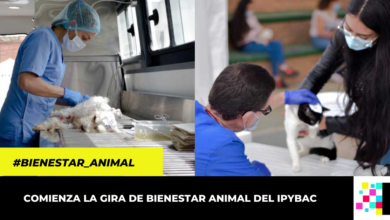 Más de 10 mil animales se beneficiarán con gira de bienestar en Cundinamarca