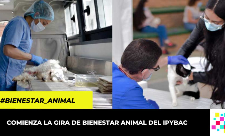 Más de 10 mil animales se beneficiarán con gira de bienestar en Cundinamarca