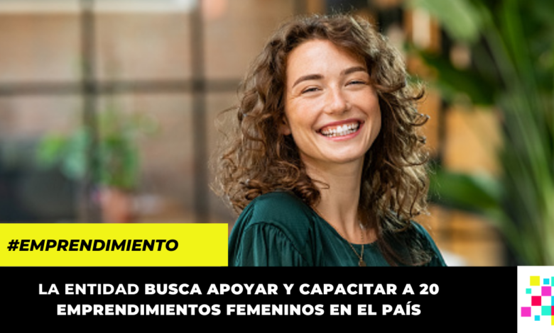 Programa Scale apoyará y capacitará emprendimientos femeninos