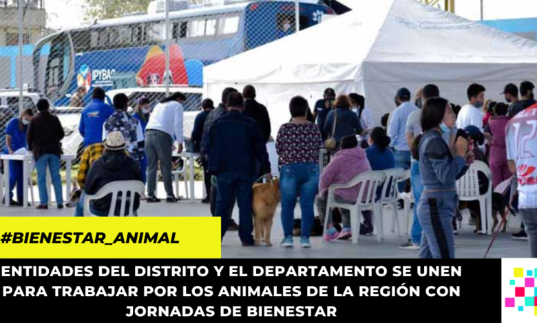 Región Metropolitana unida por el Bienestar Animal