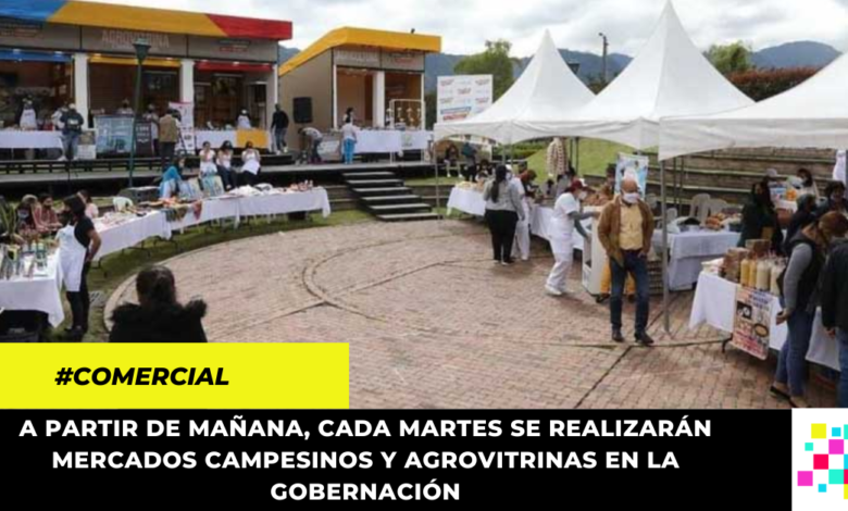 "Vive el campo cundinamarqués", una iniciativa para impulsar los mercados campesinos