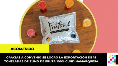 fruta 100% cundinamarquesa llega a comercios internacionales gracias a importante convenio