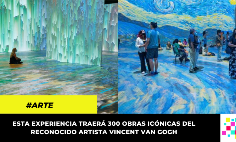 Llega a Bogotá Beyond Van Gogh: una obra de arte inmersiva