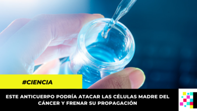 Descubren anticuerpo que frena la propagación del cáncer y la metástasis