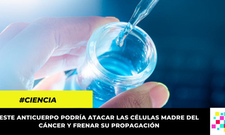 Descubren anticuerpo que frena la propagación del cáncer y la metástasis