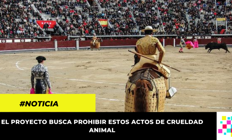 Aprobado en segundo debate proyecto que busca prohibir las corridas de toros en el país