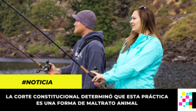 Prohíben la pesca deportiva en Colombia por considerarla maltrato animal