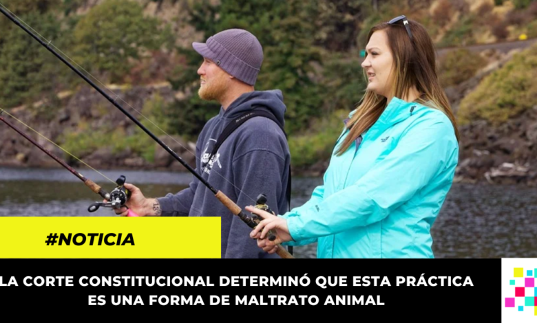 Prohíben la pesca deportiva en Colombia por considerarla maltrato animal