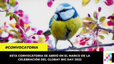 Así puede inscribirse al concurso de fotografía de aves del IDECUT