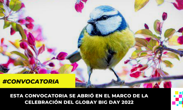 Así puede inscribirse al concurso de fotografía de aves del IDECUT