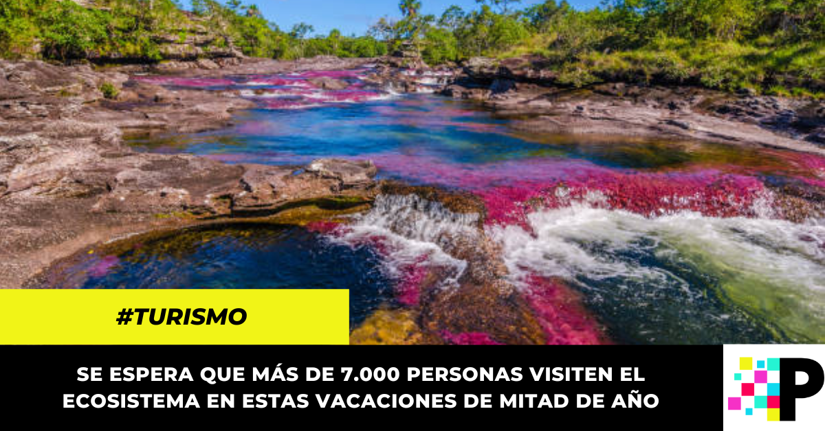 Caño Cristales Reabre Sus Puertas Al Público Esta Semana Portavoz Digital