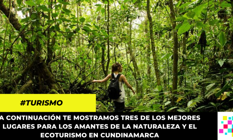 Tres maravillosos parques naturales que debes visitar en Cundinamarca