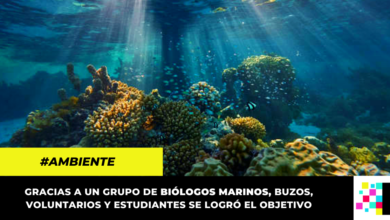 PNN Corales del Rosario restauró 13.500 fragmentos de coral en el territorio