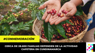 ¿Por qué se celebra hoy el Día Nacional del Café? Aquí te contamos