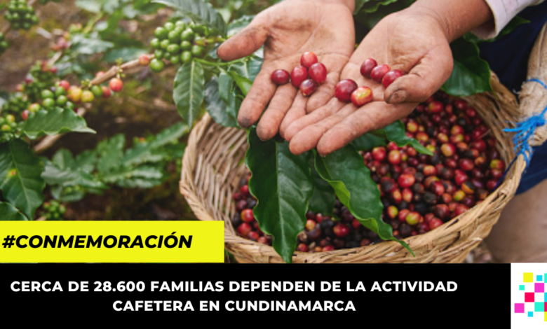 ¿Por qué se celebra hoy el Día Nacional del Café? Aquí te contamos