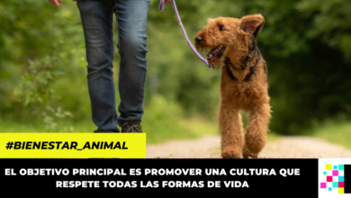 San Antonio del Tequendama inauguró su Ruta Formal de Atención al Maltrato Animal