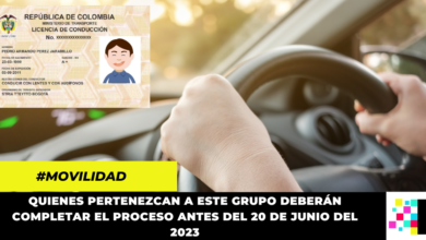 Estas personas deberán renovar su licencia antes de mitad de año